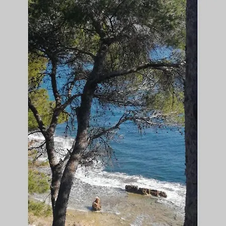 El Poblet 36 Денія