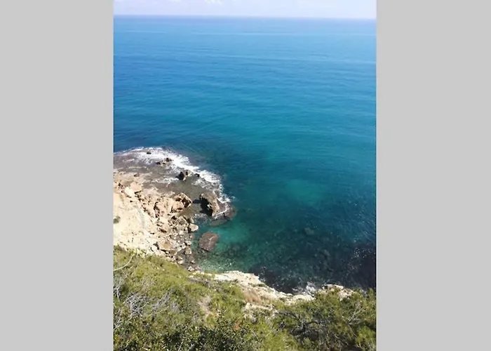 El Poblet 36 * 데니아