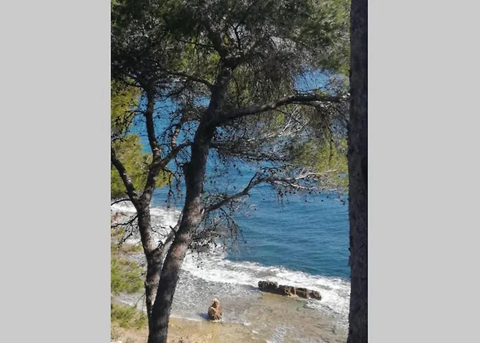 El Poblet 36 데니아