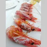 بيت للعطل El Poblet 36