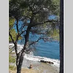 El Poblet 36 دينايا